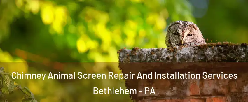  Chimney Animal Screen Repair And Installation Services Bethlehem - PA