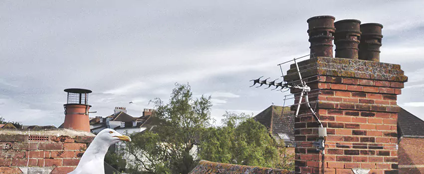 Chimney Cleaning And Restoration in Bethlehem, Pennsylvania