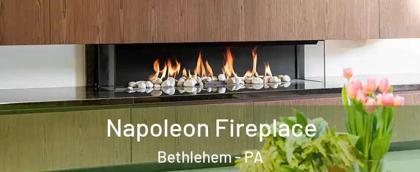  Napoleon Fireplace Bethlehem - PA